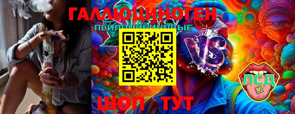 Королёв  Галлюциногенные грибы Psilocybe  Вход с VPN 