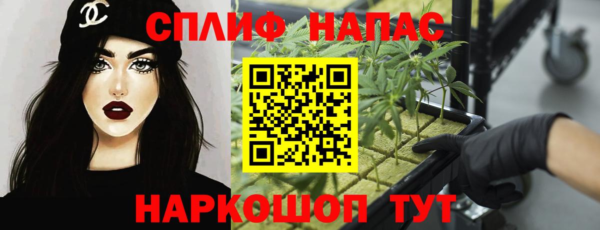 Королёв  Бошки Шишки план  Шишки марихуана сатива  Бошки марихуана White Widow  Вход с VPN 